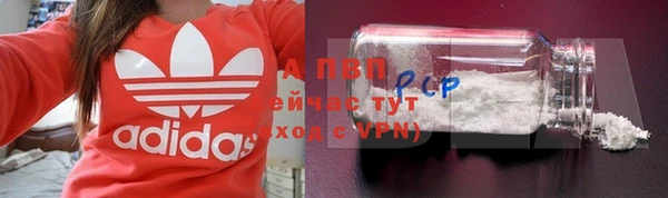 СК Абинск